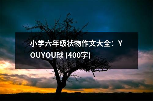 小學(xué)六年級狀物作文大全：YOUYOU球 (400字)