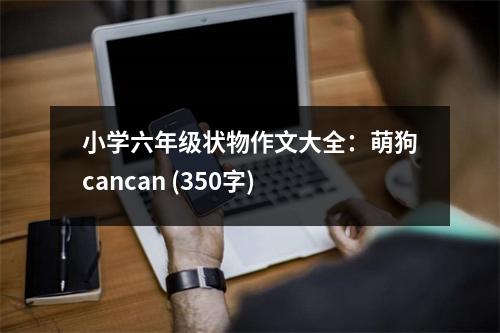 小學(xué)六年級(jí)狀物作文大全：萌狗cancan (350字)