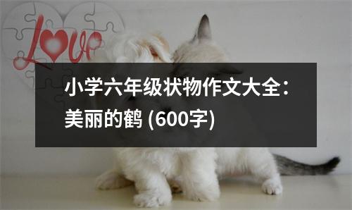 小學(xué)六年級(jí)狀物作文大全：美麗的鶴 (600字)