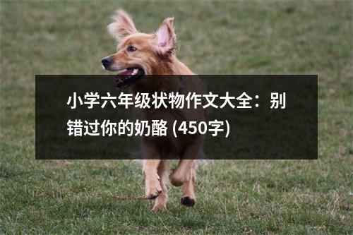 小學六年級狀物作文大全：別錯過你的奶酪 (450字)