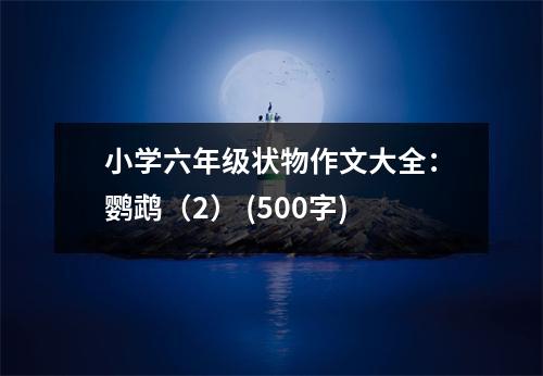 小學(xué)六年級狀物作文大全：鸚鵡（2） (500字)