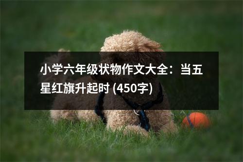 小學(xué)六年級狀物作文大全：當(dāng)五星紅旗升起時(shí) (450字)