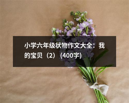 小學(xué)六年級(jí)狀物作文大全：我的寶貝（2） (400字)