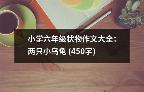 小學(xué)六年級(jí)狀物作文大全：兩只小烏龜 (450字)