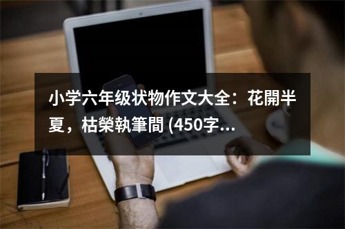 小學(xué)六年級(jí)狀物作文大全：花開半夏，枯榮執(zhí)筆間 (450字)