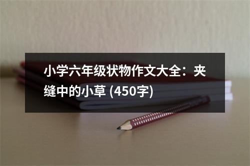小學(xué)六年級(jí)狀物作文大全：夾縫中的小草 (450字)