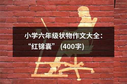 小學(xué)六年級(jí)狀物作文大全：“紅錦囊” (400字)