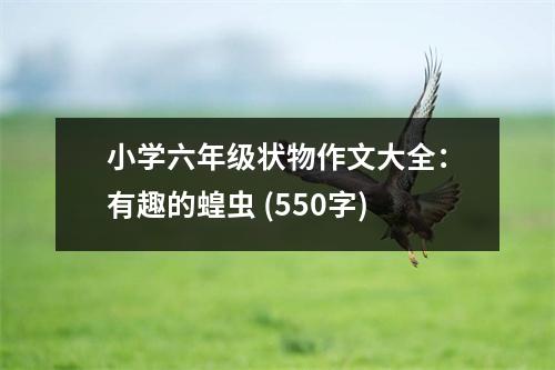 小學六年級狀物作文大全：有趣的蝗蟲 (550字)