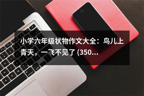 小學六年級狀物作文大全：鳥兒上青天，一飛不見了 (350字)