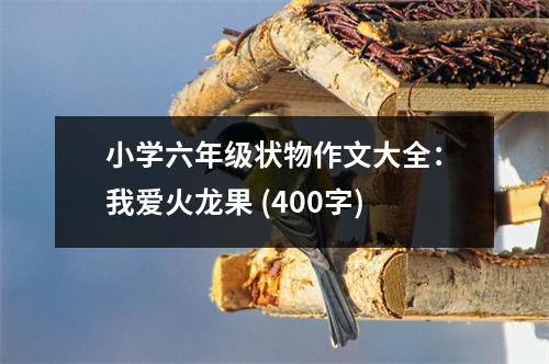 小學六年級狀物作文大全：我愛火龍果 (400字)