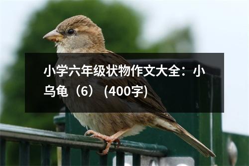 小學六年級狀物作文大全：小烏龜（6） (400字)