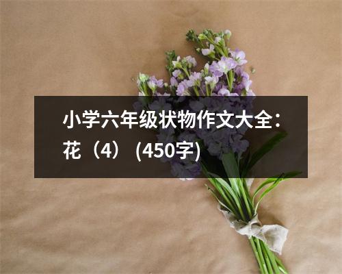 小學(xué)六年級(jí)狀物作文大全：花（4） (450字)