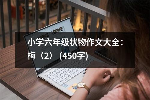 小學(xué)六年級(jí)狀物作文大全：梅（2） (450字)