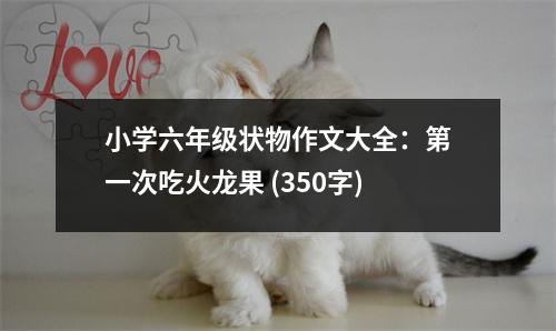 小學(xué)六年級(jí)狀物作文大全：第一次吃火龍果 (350字)