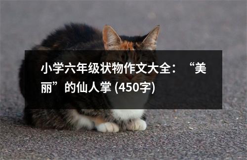 小學(xué)六年級(jí)狀物作文大全：“美麗”的仙人掌 (450字)