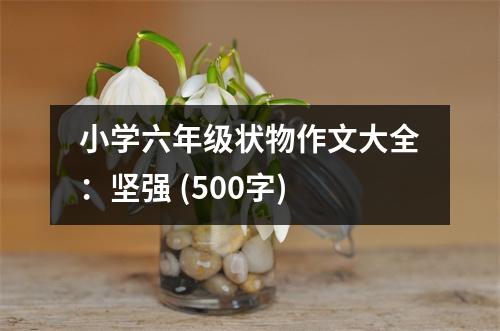 小學(xué)六年級(jí)狀物作文大全：堅(jiān)強(qiáng) (500字)