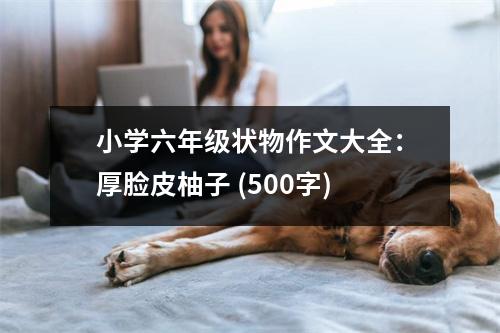 小學(xué)六年級(jí)狀物作文大全：厚臉皮柚子 (500字)