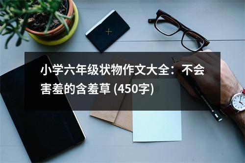 小學六年級狀物作文大全：不會害羞的含羞草 (450字)
