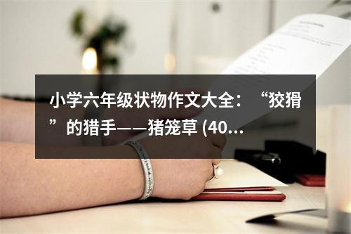 小學(xué)六年級(jí)狀物作文大全：“狡猾”的獵手——豬籠草 (400字)