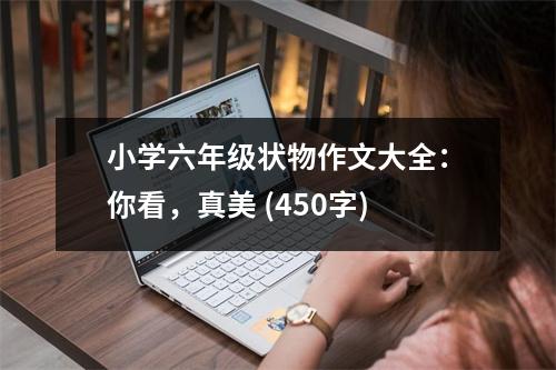 小學(xué)六年級狀物作文大全：你看，真美 (450字)