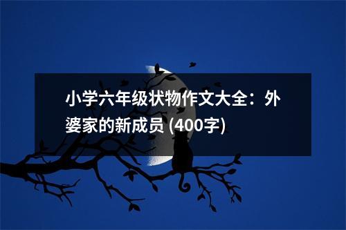 小學(xué)六年級(jí)狀物作文大全：外婆家的新成員 (400字)