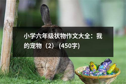 小學(xué)六年級狀物作文大全：我的寵物（2） (450字)