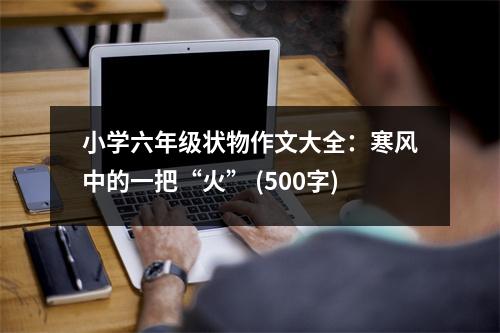 小學(xué)六年級(jí)狀物作文大全：寒風(fēng)中的一把“火” (500字)