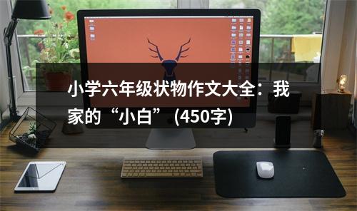 小學(xué)六年級(jí)狀物作文大全：我家的“小白” (450字)