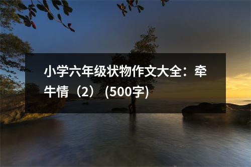 小學(xué)六年級(jí)狀物作文大全：牽牛情（2） (500字)