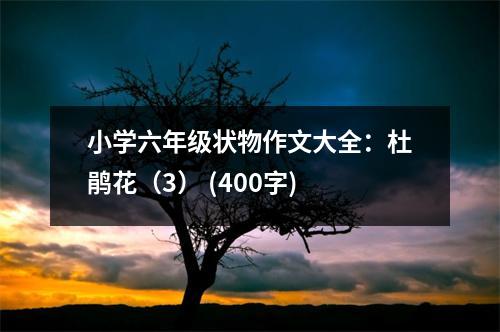 小學六年級狀物作文大全：杜鵑花（3） (400字)