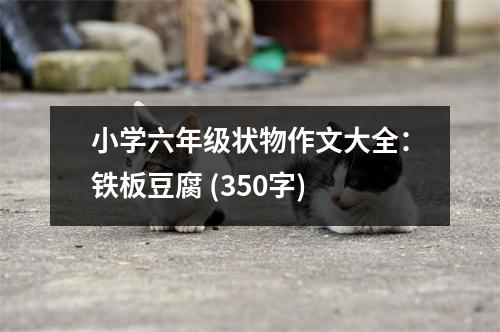 小學六年級狀物作文大全：鐵板豆腐 (350字)