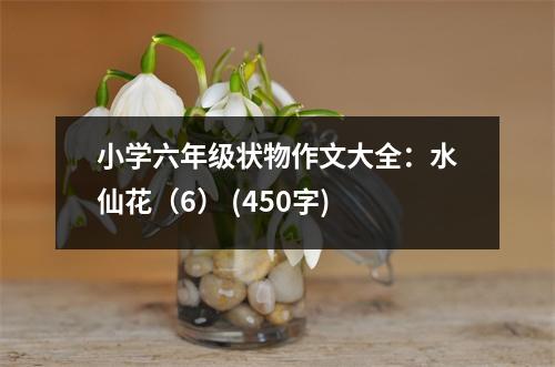 小學(xué)六年級狀物作文大全：水仙花（6） (450字)
