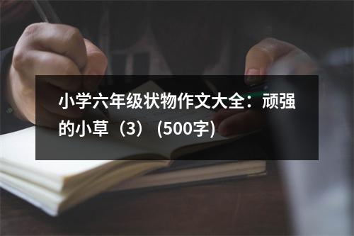 小學(xué)六年級狀物作文大全：頑強(qiáng)的小草（3） (500字)