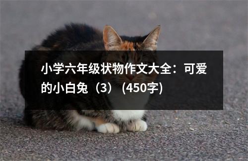 小學(xué)六年級狀物作文大全：可愛的小白兔（3） (450字)