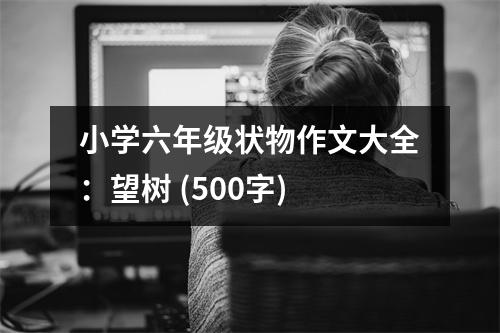 小學(xué)六年級(jí)狀物作文大全：望樹 (500字)