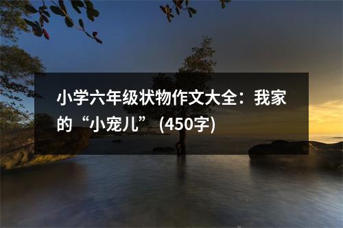 小學(xué)六年級(jí)狀物作文大全：我家的“小寵兒” (450字)