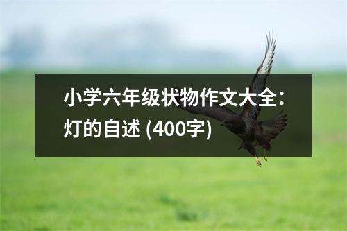 小學(xué)六年級(jí)狀物作文大全：燈的自述 (400字)