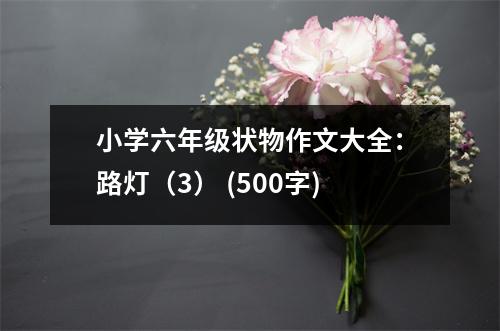 小學(xué)六年級狀物作文大全：路燈（3） (500字)