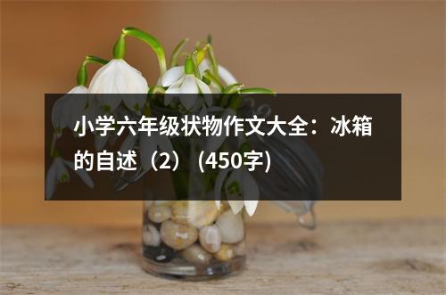 小學(xué)六年級狀物作文大全：冰箱的自述（2） (450字)