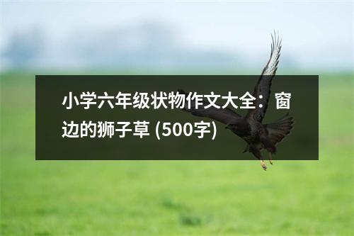 小學(xué)六年級狀物作文大全：窗邊的獅子草 (500字)