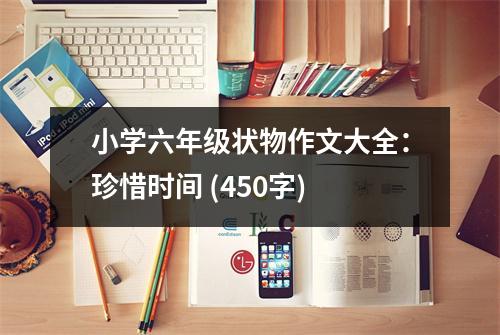 小學(xué)六年級狀物作文大全：珍惜時間 (450字)