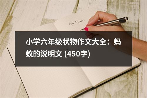 小學(xué)六年級狀物作文大全：螞蟻的說明文 (450字)