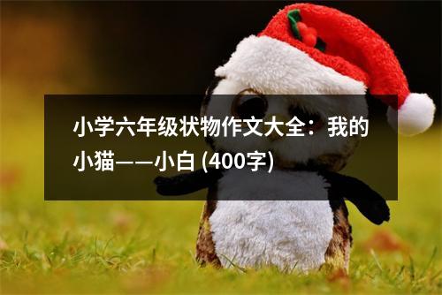 小學(xué)六年級狀物作文大全：我的小貓——小白 (400字)