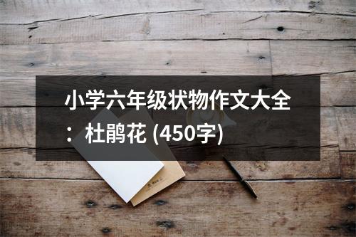 小學(xué)六年級狀物作文大全：杜鵑花 (450字)