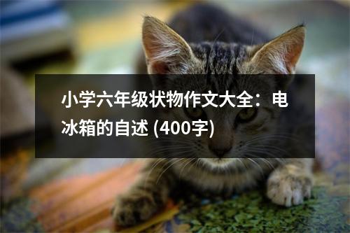 小學(xué)六年級(jí)狀物作文大全：電冰箱的自述 (400字)