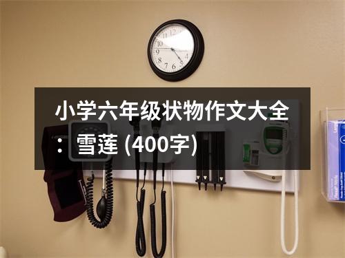 小學(xué)六年級(jí)狀物作文大全：雪蓮 (400字)