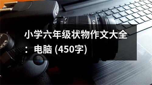 小學(xué)六年級(jí)狀物作文大全：電腦 (450字)