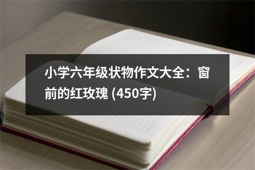 小學(xué)六年級(jí)狀物作文大全：窗前的紅玫瑰 (450字)