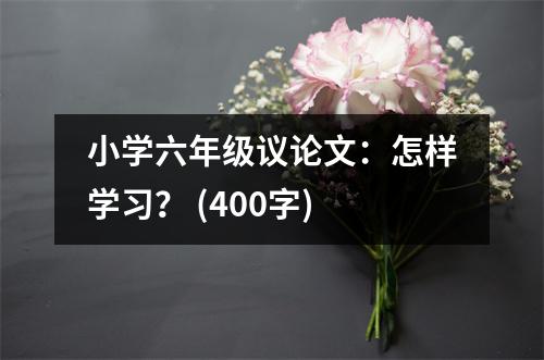 小學(xué)六年級(jí)議論文：怎樣學(xué)習(xí)？ (400字)