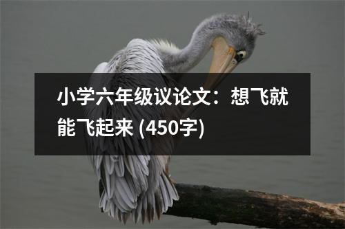 小學(xué)六年級(jí)議論文：想飛就能飛起來(lái) (450字)